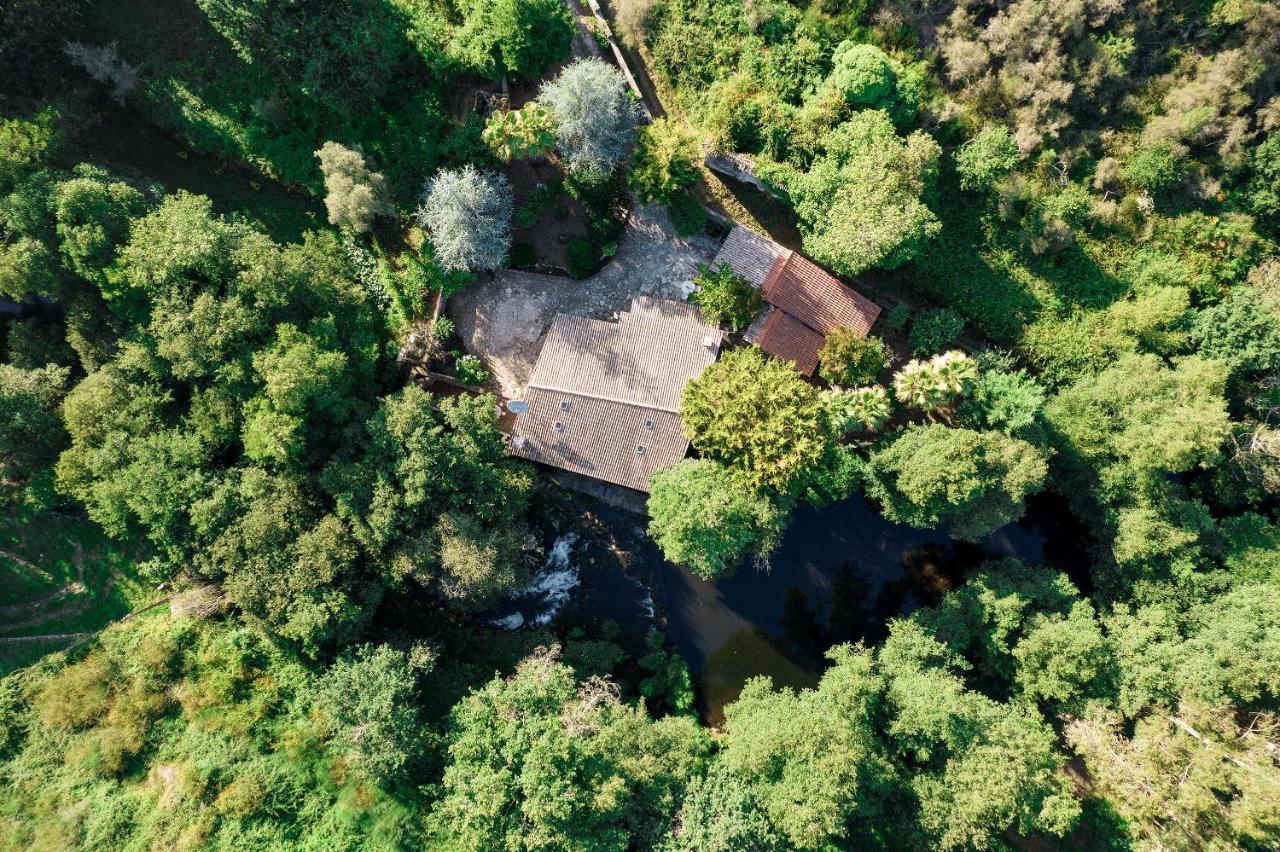 Neiva River House - Azenha Next To The River Esposende Exteriör bild